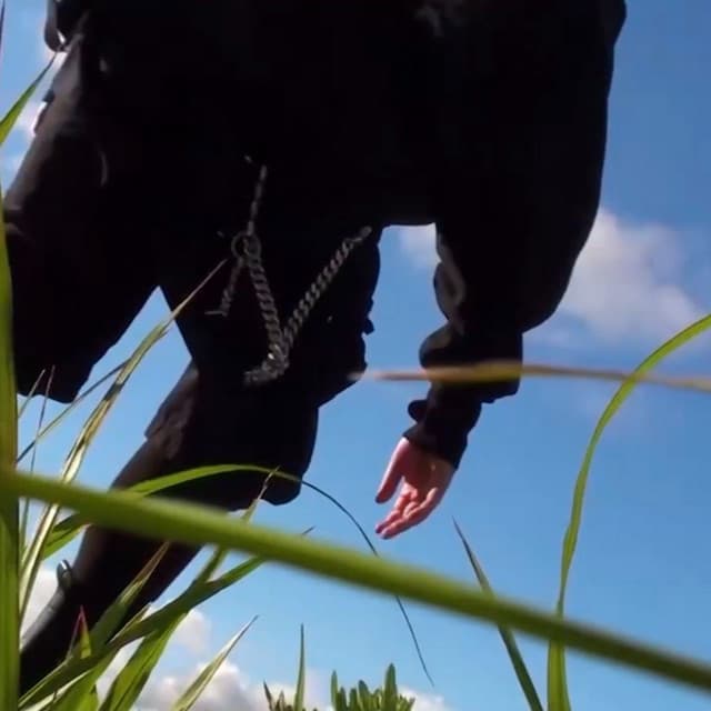 Kala