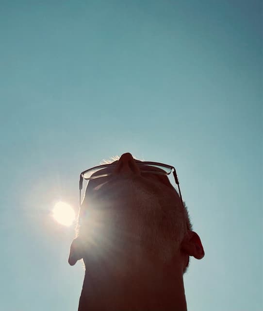 Sergio Vilas