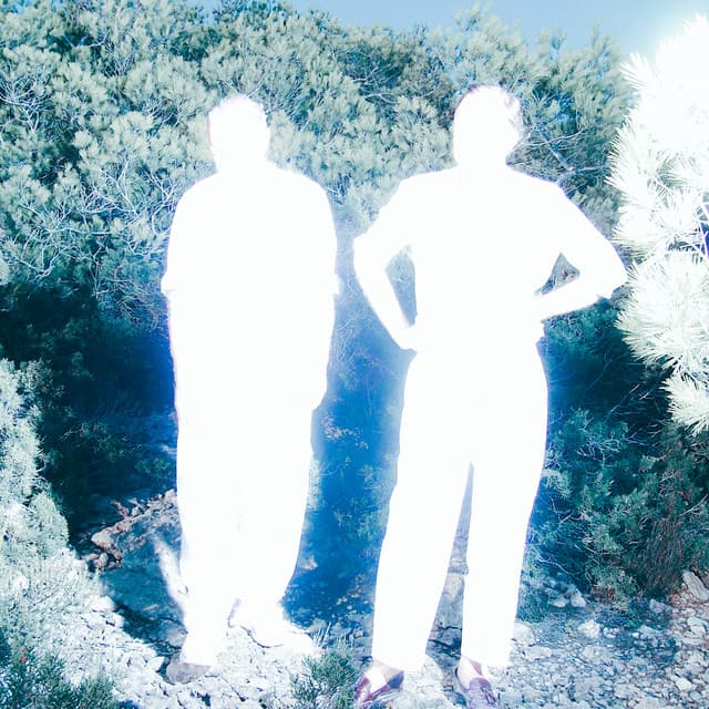 Soulwax