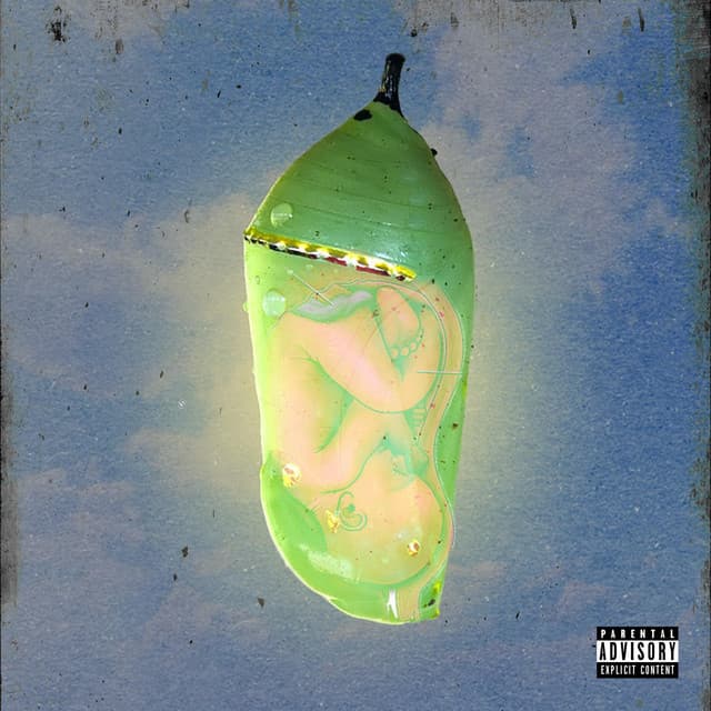Omni Alien