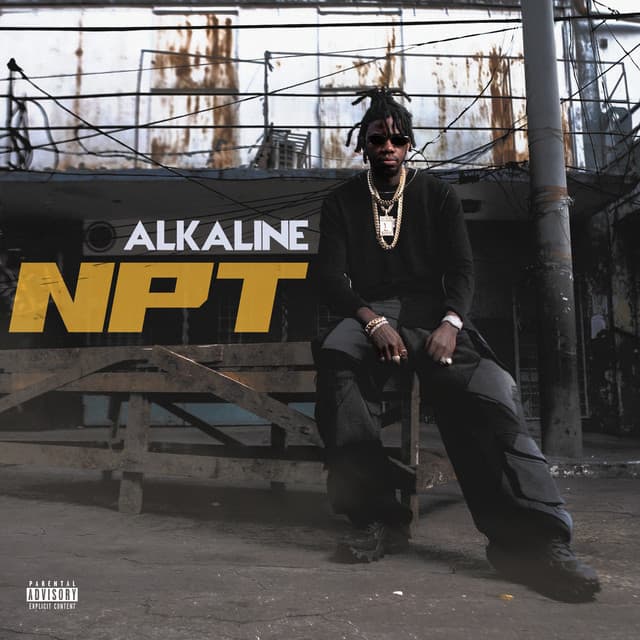NPT cover art