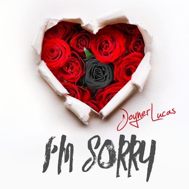 I'm Sorry cover art