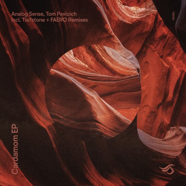 Cardamom - FAERO Remix cover art