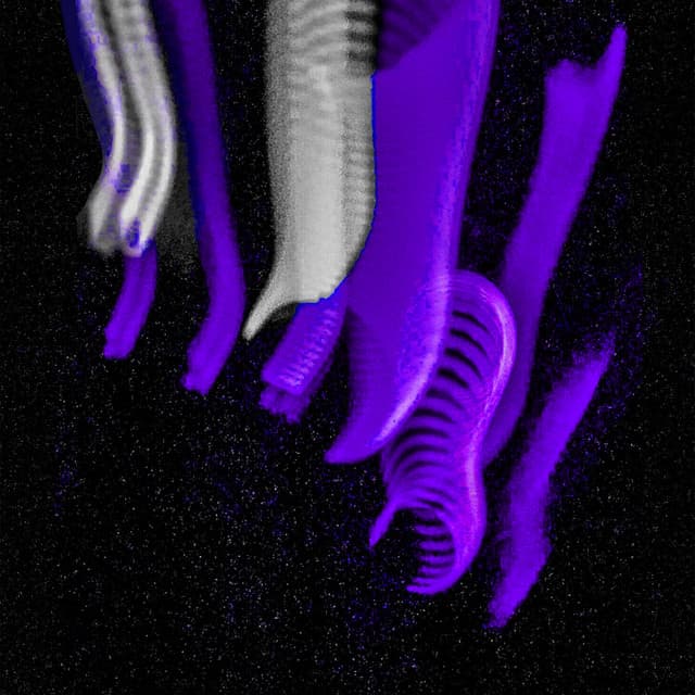 Rokit cover art