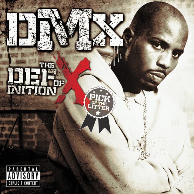 X Gon' Give It To Ya cover art