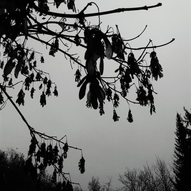 Decelerate cover art