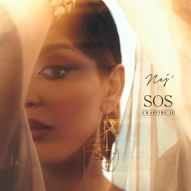 SOS (Chapitre 2) cover art