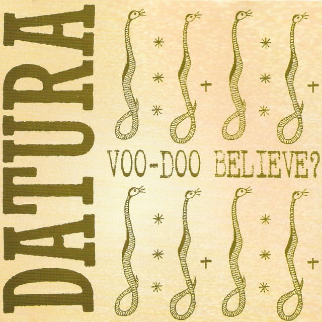 Voo-Doo Believe? cover art