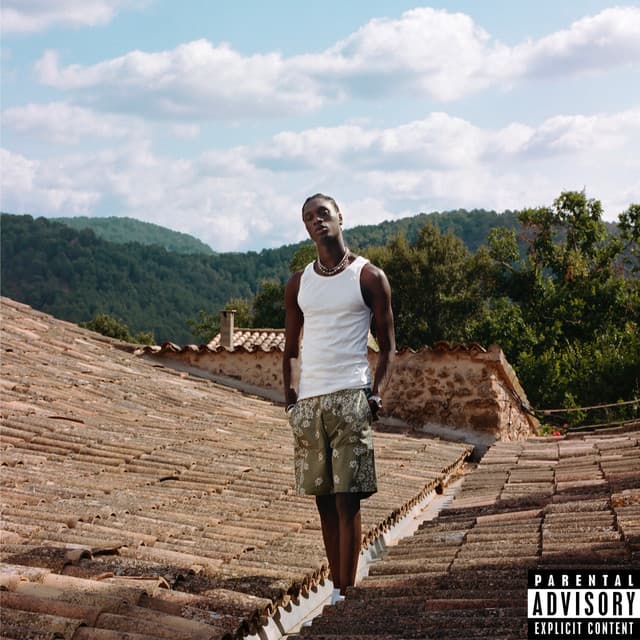 ROLLERCOASTER cover art