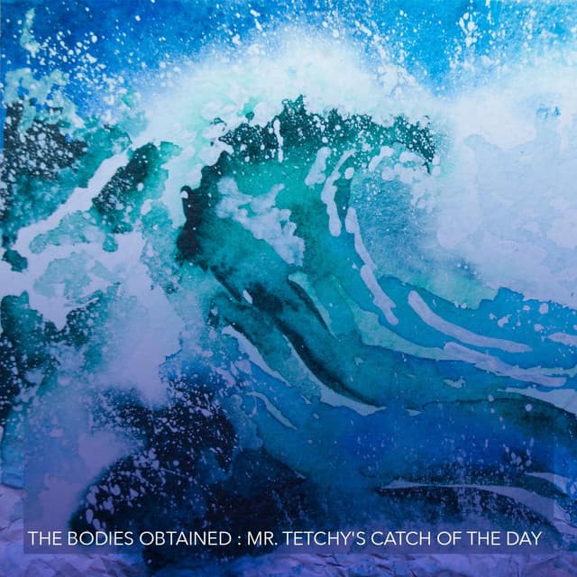 Mr. Tetchy's Catch of the Day cover art