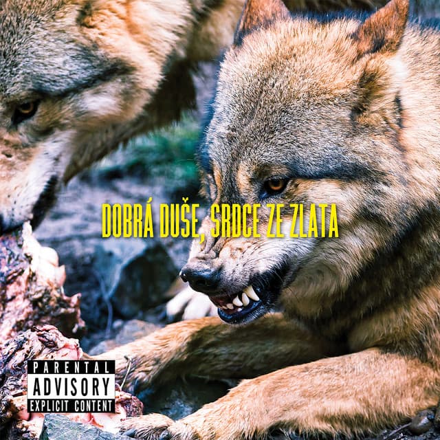 Drip cover art