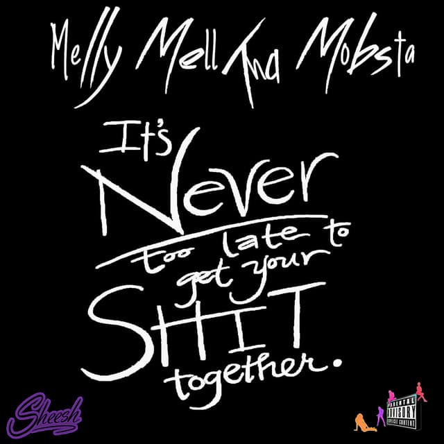 Its Never Too Late To Get Your Shit Together cover art