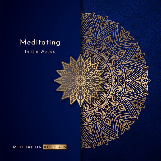 Meditating in the Wood (Original Mix) cover art