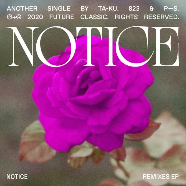 Notice (Moods Remix) cover art