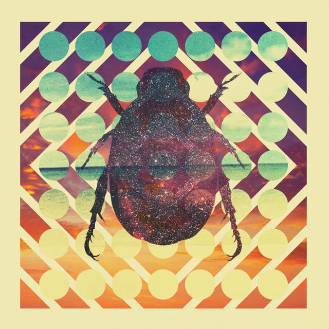 You Only Like What You Know cover art