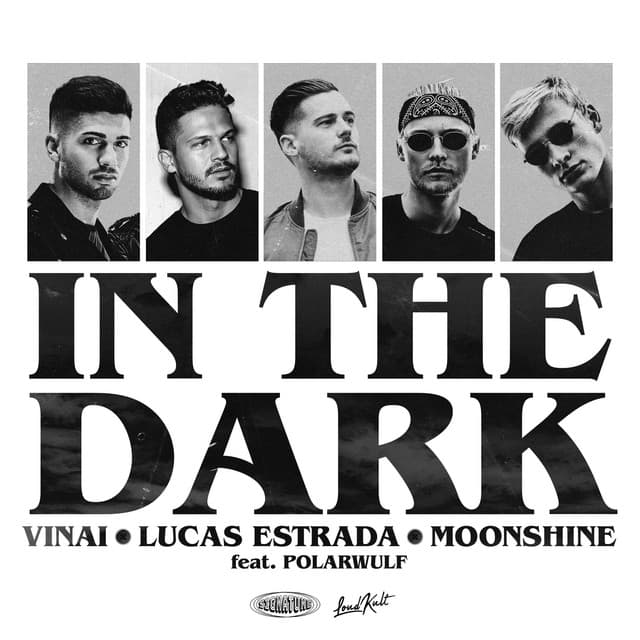 In The Dark (feat. Polarwulf) cover art
