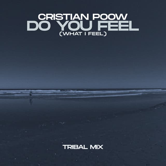 Do You Feel (What I Feel) [Tribal Mix] cover art