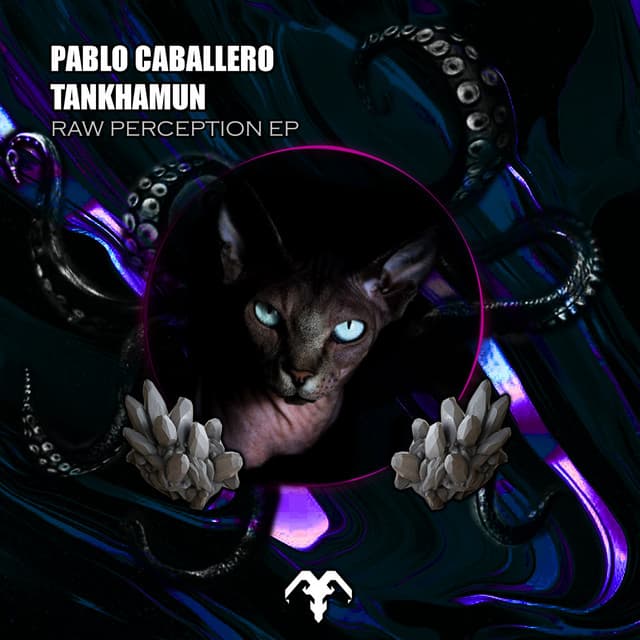 Raw Perception - Original Mix cover art