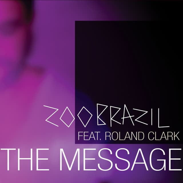 The Message - Tiger Stripes Remix cover art