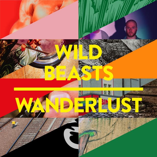 Wanderlust - The Field Remix cover art