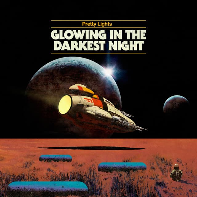Shining Bright Despite the Plight cover art
