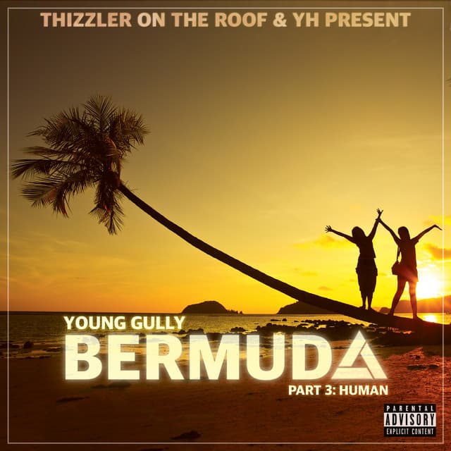 Bermuda, Pt. 3: Human cover art