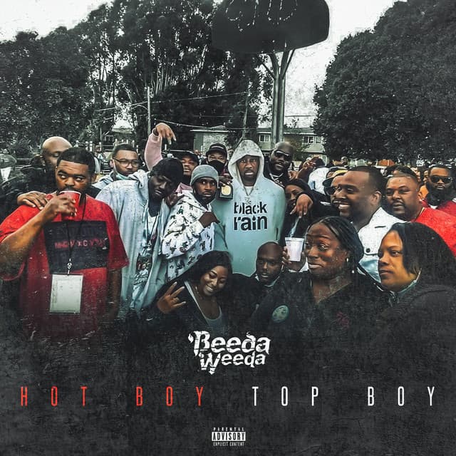 800 Degrees cover art