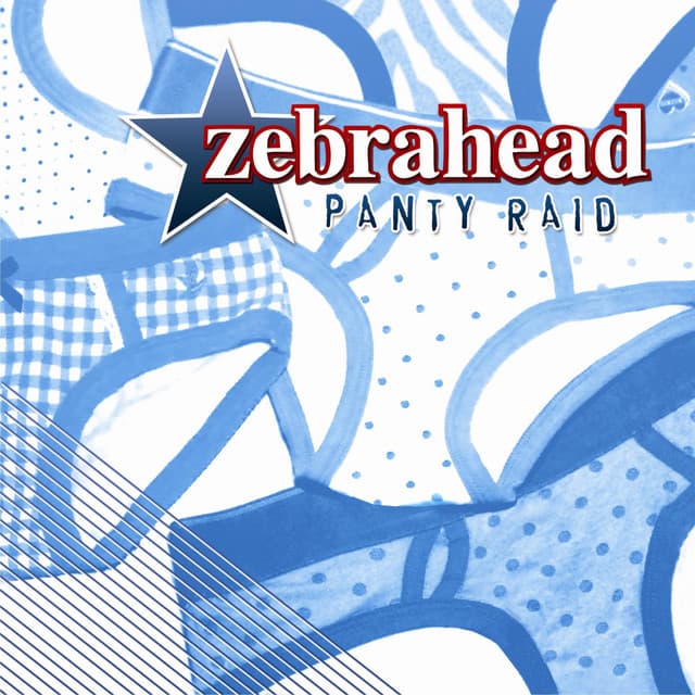 Panty Raid (Bonus Edition) cover art