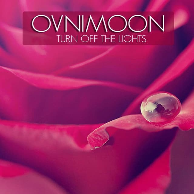 Turn off the Light - Terra Remix cover art