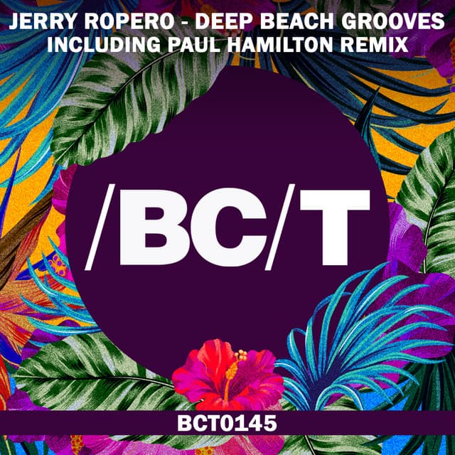 Deep Beach Grooves - Paul Hamilton Remix cover art