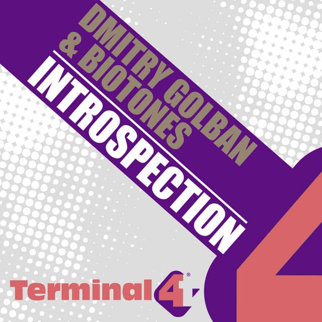 Introspection - Domestic Technology Remix cover art