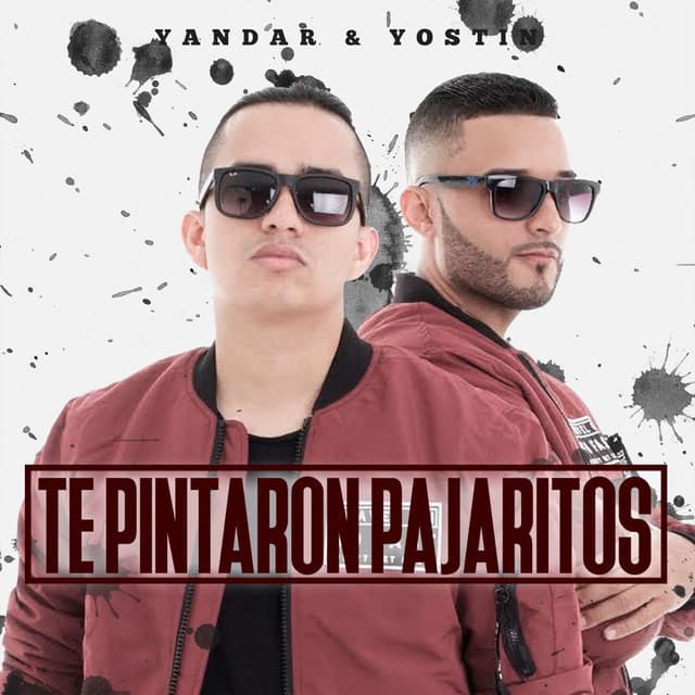 Te Pintaron Pajaritos cover art