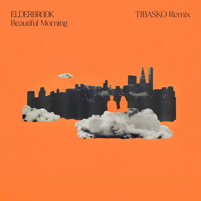 Beautiful Morning - TIBASKO Remix cover art