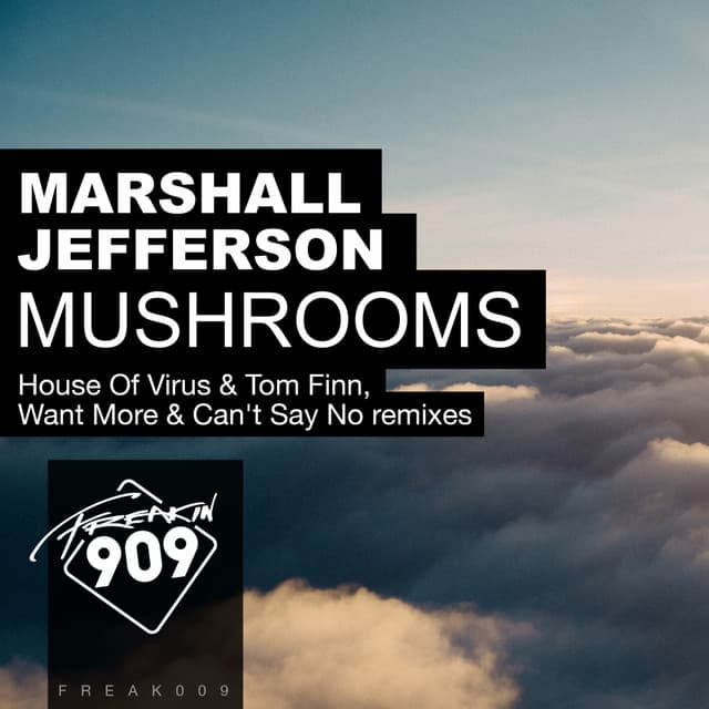 Mushrooms - House Of Virus & Tom Finn Remix cover art