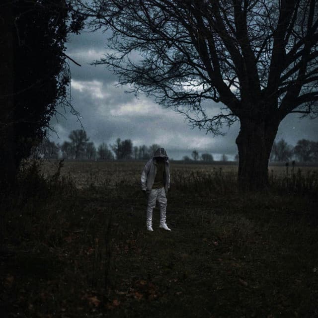 Feel cover art