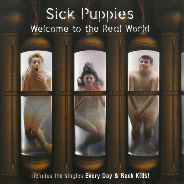 Welcome To The Real World cover art