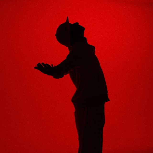 phoenix cover art