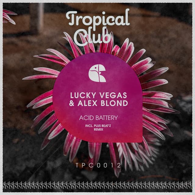 Acid Battery - Plus Beat'Z Remix Radio-Edit cover art