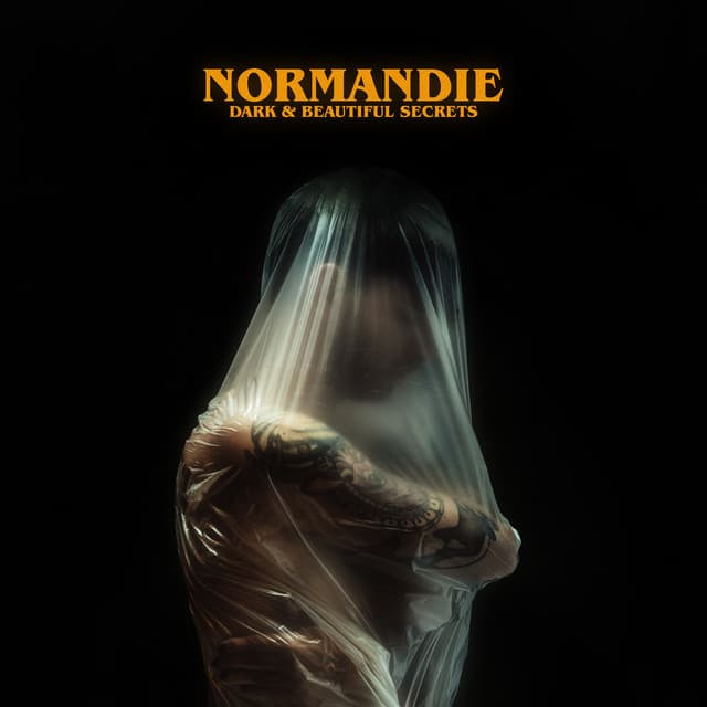 Chemicals cover art