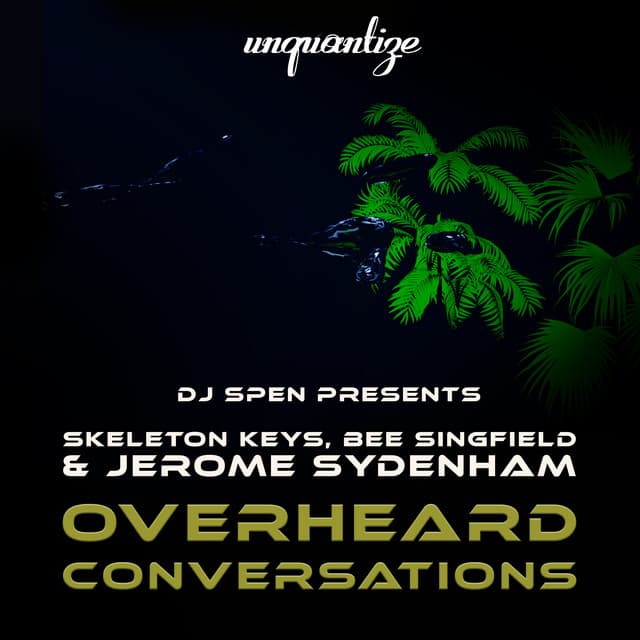 Overheard Conversations - Original Mix cover art