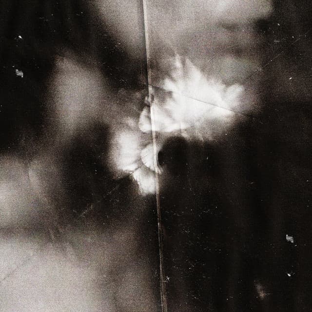 Like a Shadow cover art