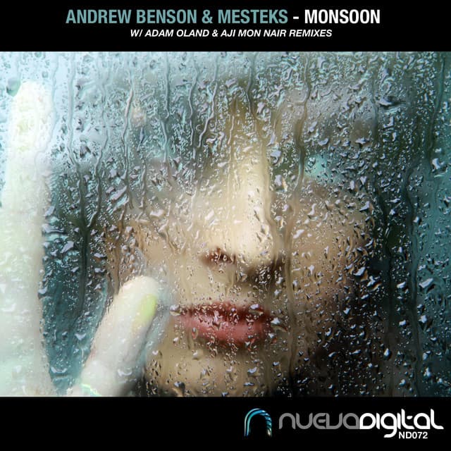 Monsoon - Adam Oland Remix cover art