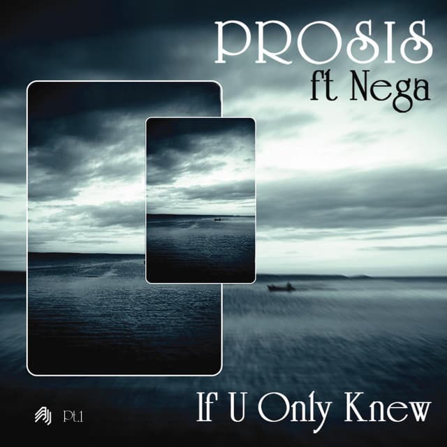 If U Only Knew (Steve Mill Remix) cover art