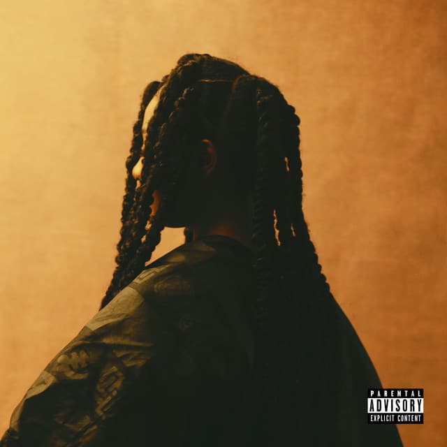 Free Mind cover art