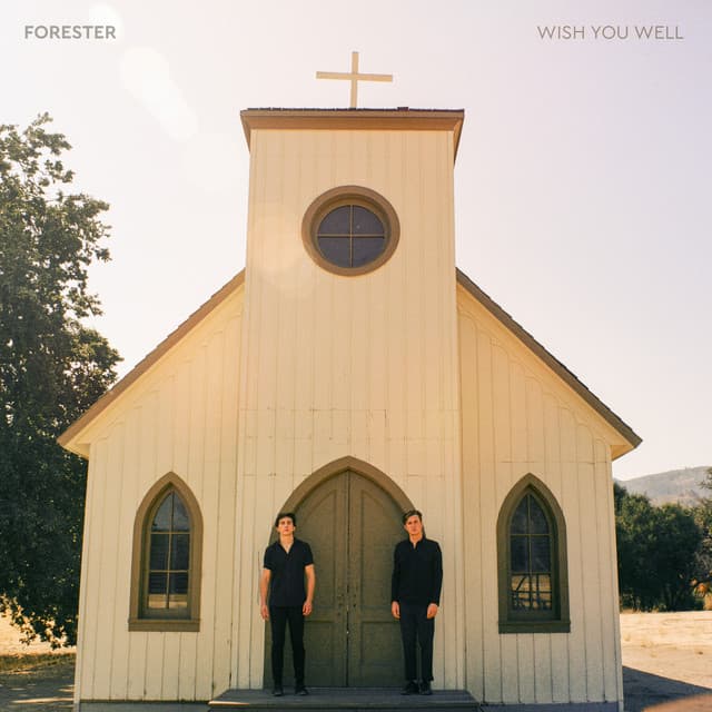 Wish You Well cover art