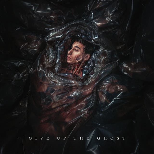 Hang My Heart cover art
