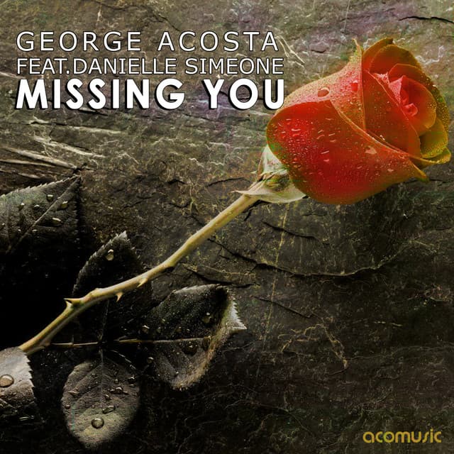 Missing You - Halojumpers Vocal Mix cover art