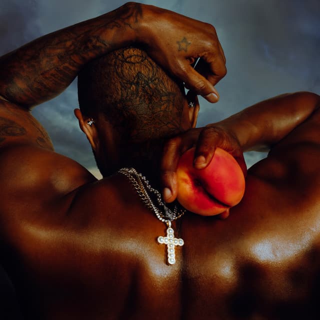 Coming Home cover art