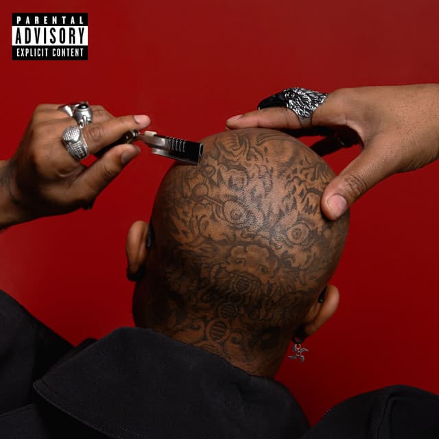Dangerous For You cover art