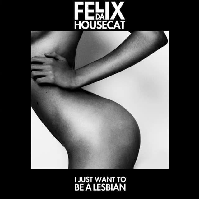 I Just Want to Be a Lesbian - Aphrohead cover art